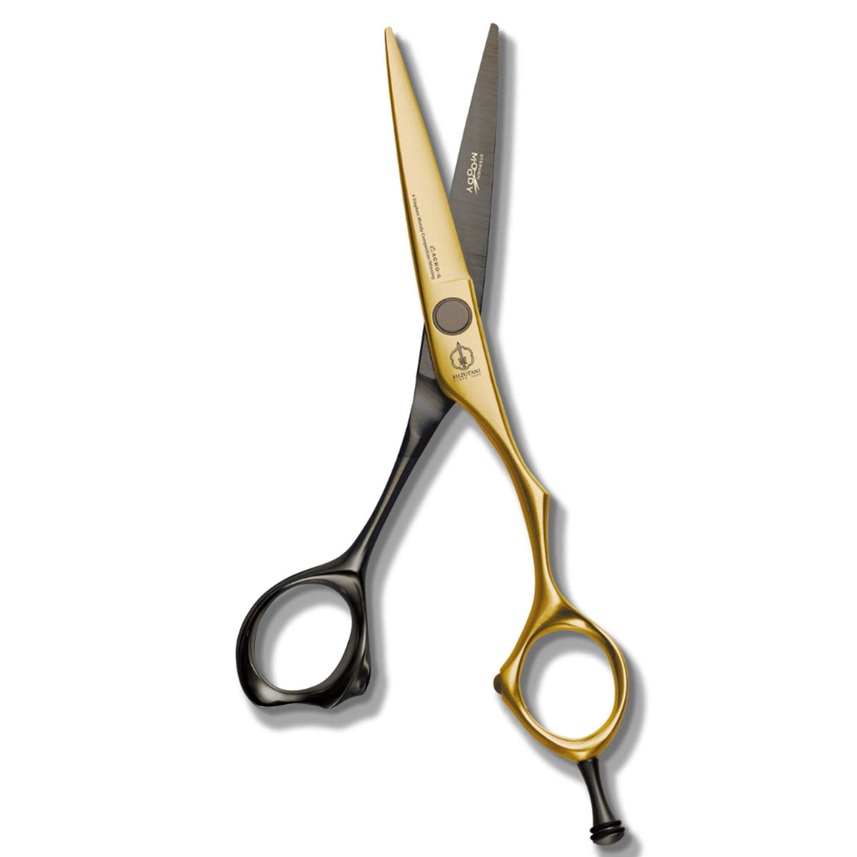 ACRO Stephen Moody Champion Mizutani Bulgaria 