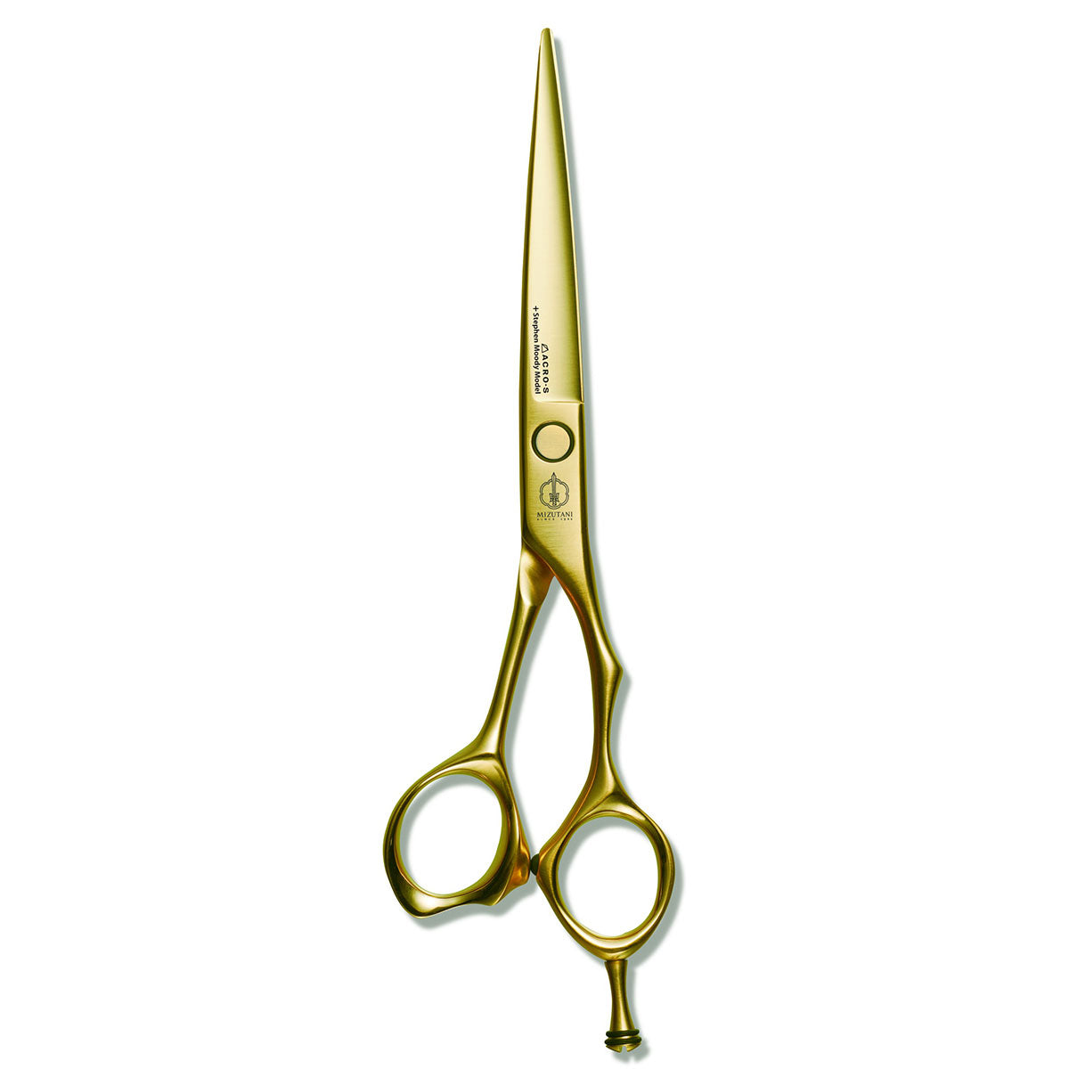 ACRO Stephen Moody Gold Mizutani Bulgaria